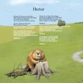 Hector