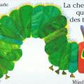La chenille qui fait des trous