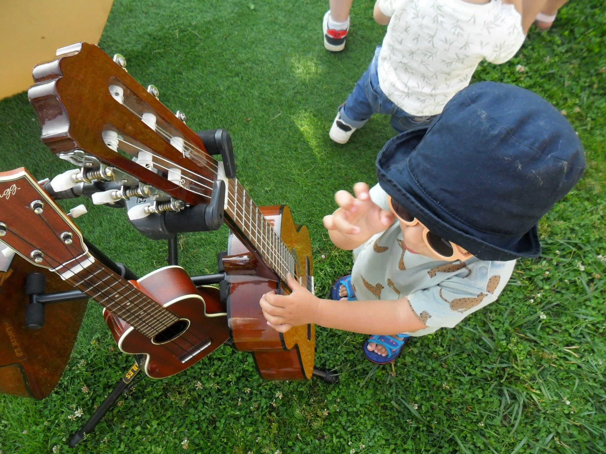 Guitares